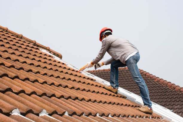 Best Wood Shake Roofing  in Auburn, AL