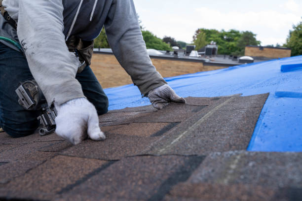 Best Storm Damage Roof Repair  in Auburn, AL