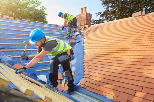 Best Roof Maintenance and Cleaning  in Auburn, AL